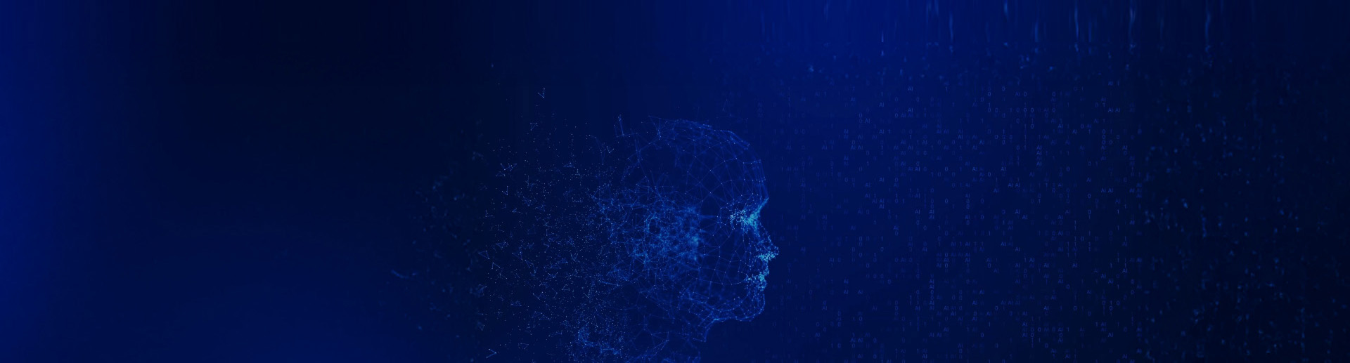 כותרת כתבה כותרת כתבה 